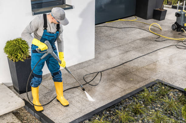 Best Affordable Power Washing  in River Forest, IL