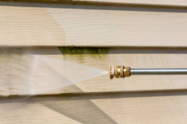 Professional Pressure Washing in River Forest, IL