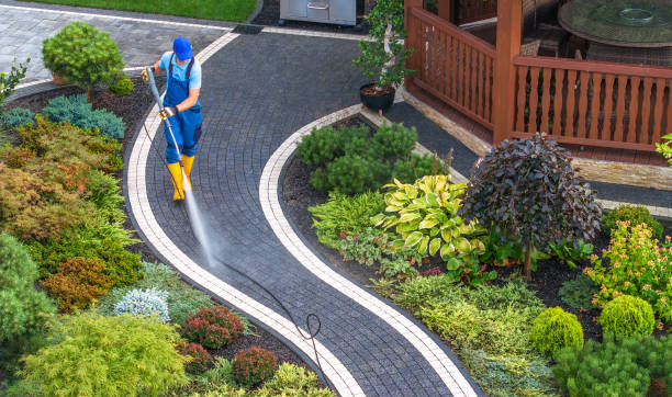 Best Commercial Building Pressure Washing  in River Forest, IL